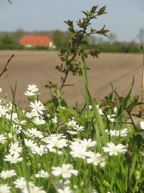 Land & Meer Hasselberg  Bagian luar foto