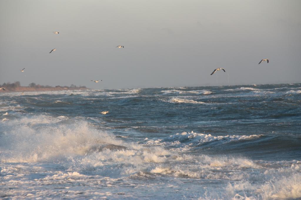 Land & Meer Hasselberg  Bagian luar foto